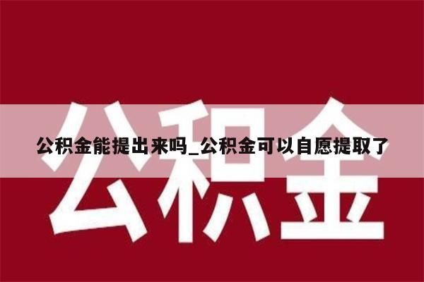 公积金能提出来吗_公积金可以自愿提取了